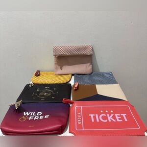 Ipsy Assorted Cosmetic Bags Set